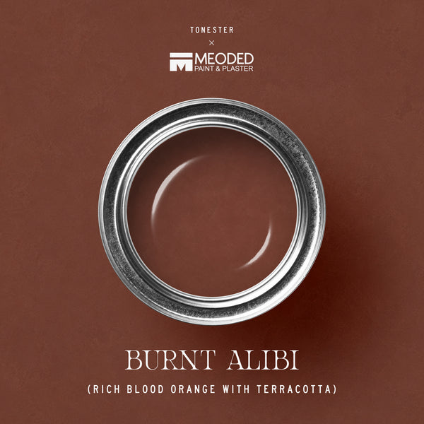 Burnt Alibi