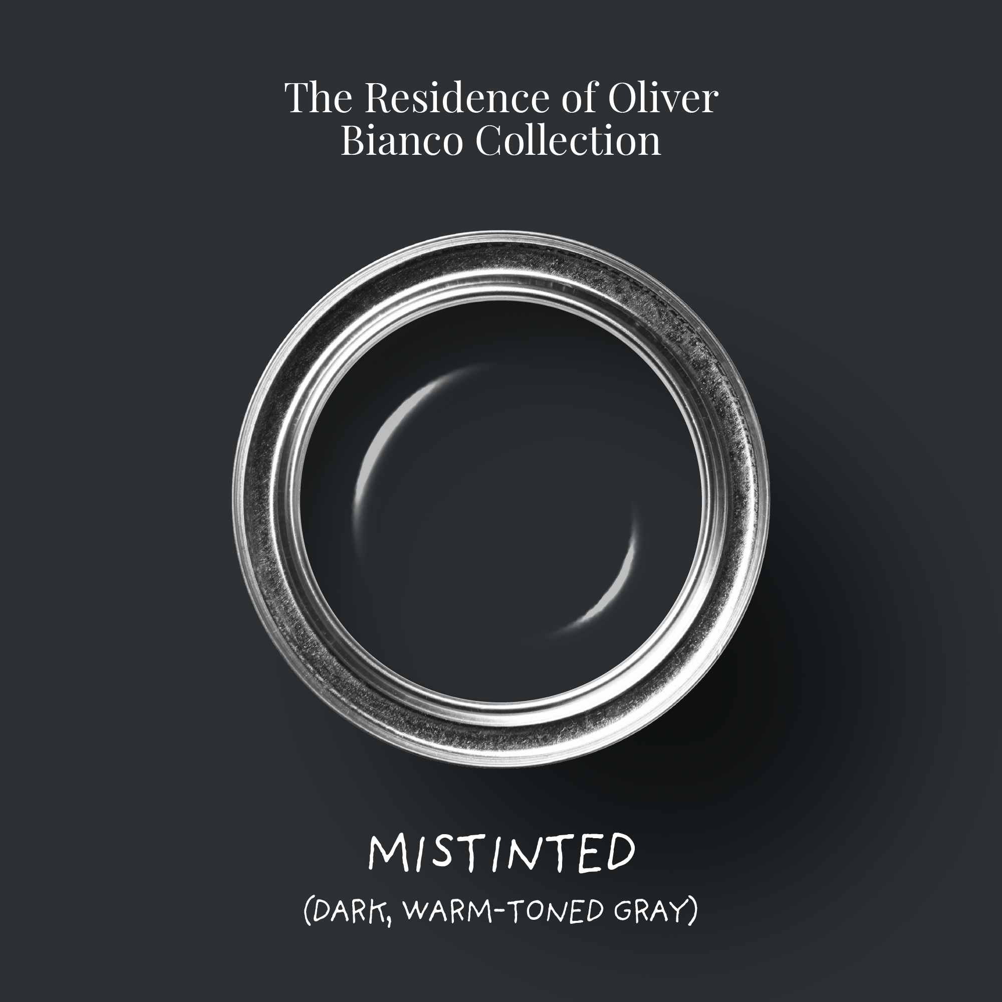 Mistint Color MISTINTED. | dark, warm-toned gray hand-made Tonester paint color ...