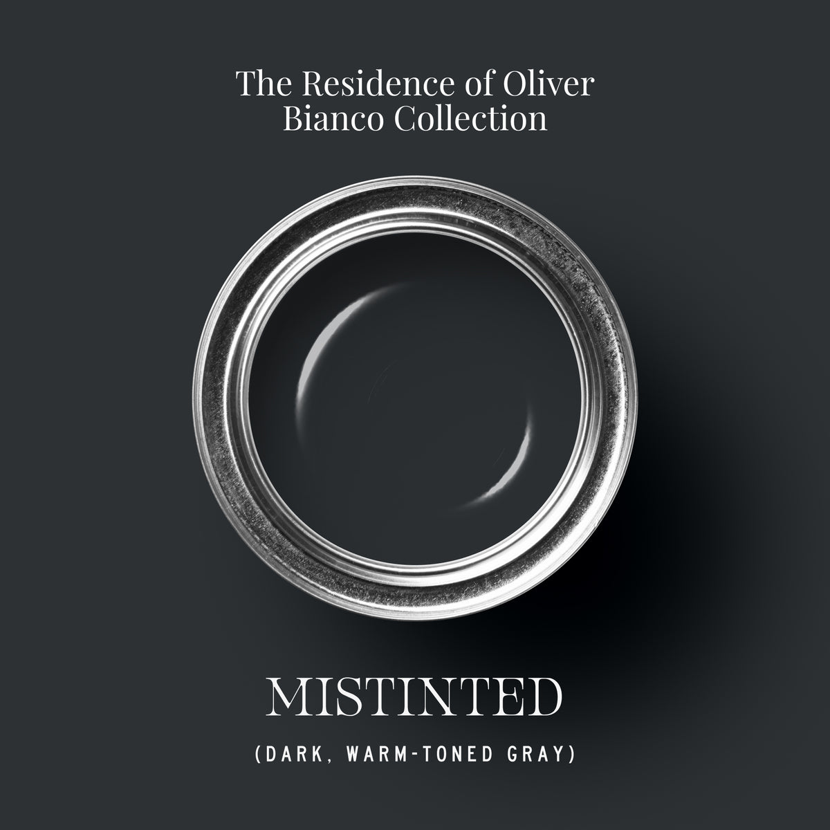 Mistint Color MISTINTED. | dark, warm-toned gray hand-made Tonester paint color ...