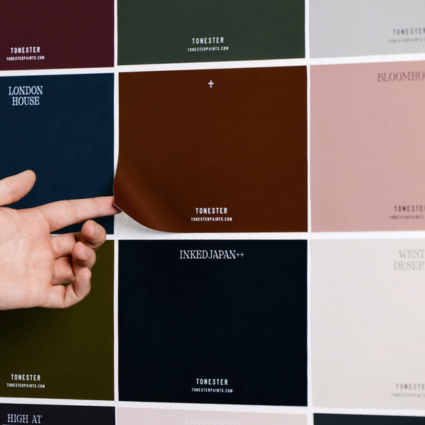 Peel & Stick Color Samples