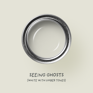 Seeing Ghosts